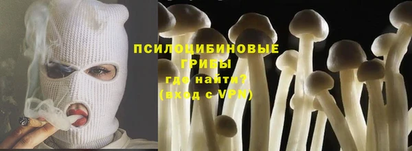 крисы Володарск