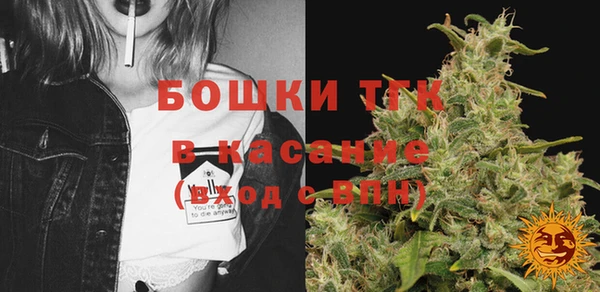 трава Бородино