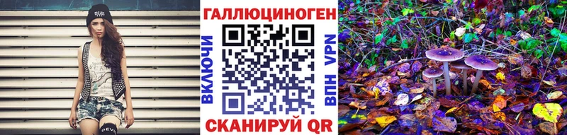 наркошоп  Новосокольники  Псилоцибиновые грибы Magic Shrooms 
